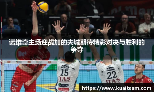 mk体育官网入口